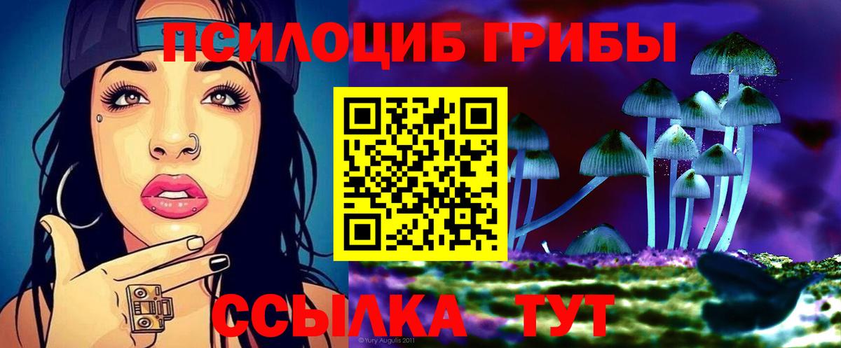 Псилоцибиновые грибы Psilocybe  Псилоцибиновые грибы Psilocybine cubensis  Вход с VPN  Печора 